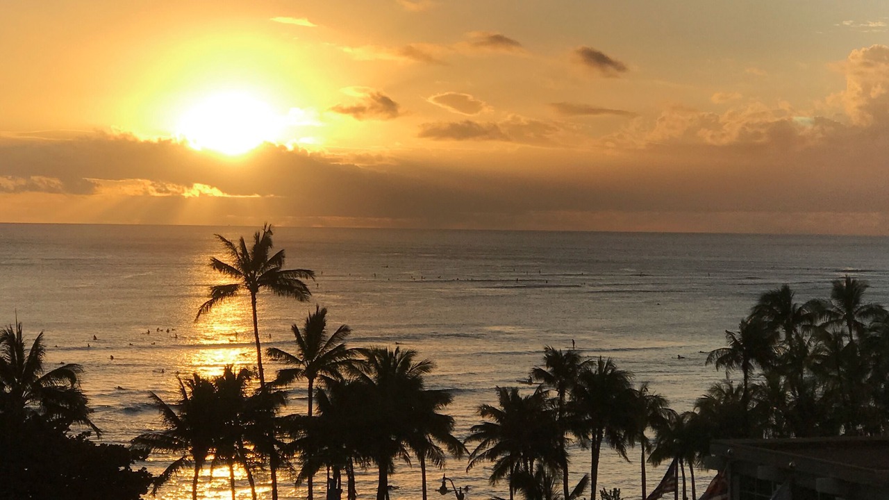 Photo of Others in Waikiki