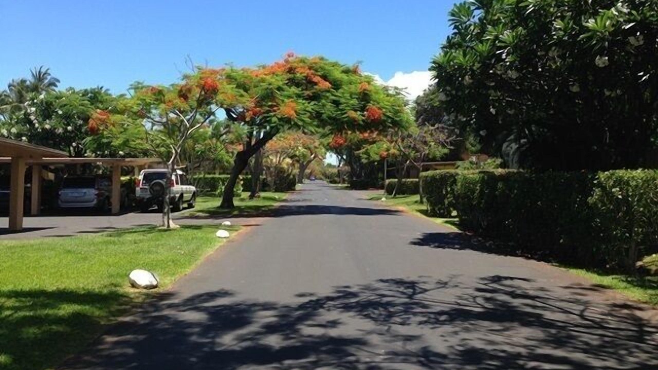 Photo of Others in Downtown Lahaina
