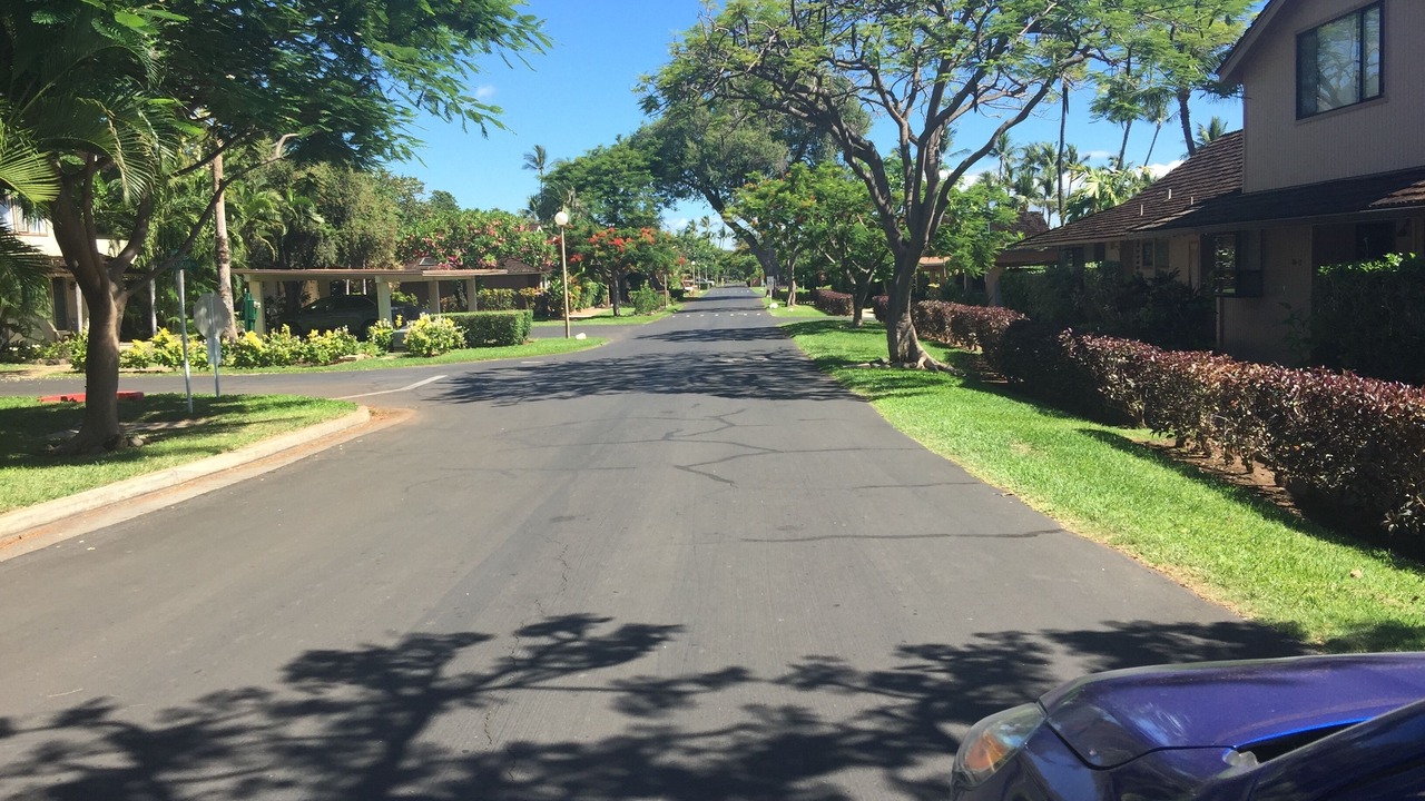 Photo of Others in Downtown Lahaina