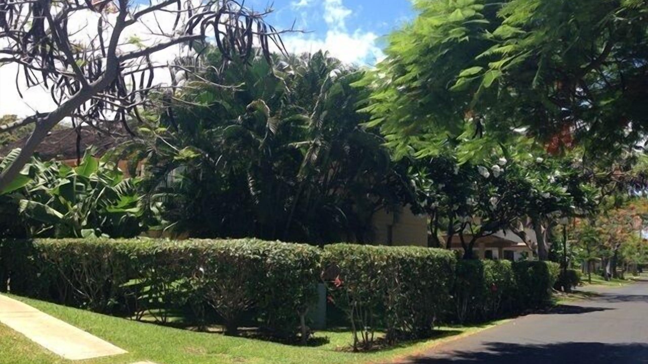 Photo of Others in Downtown Lahaina