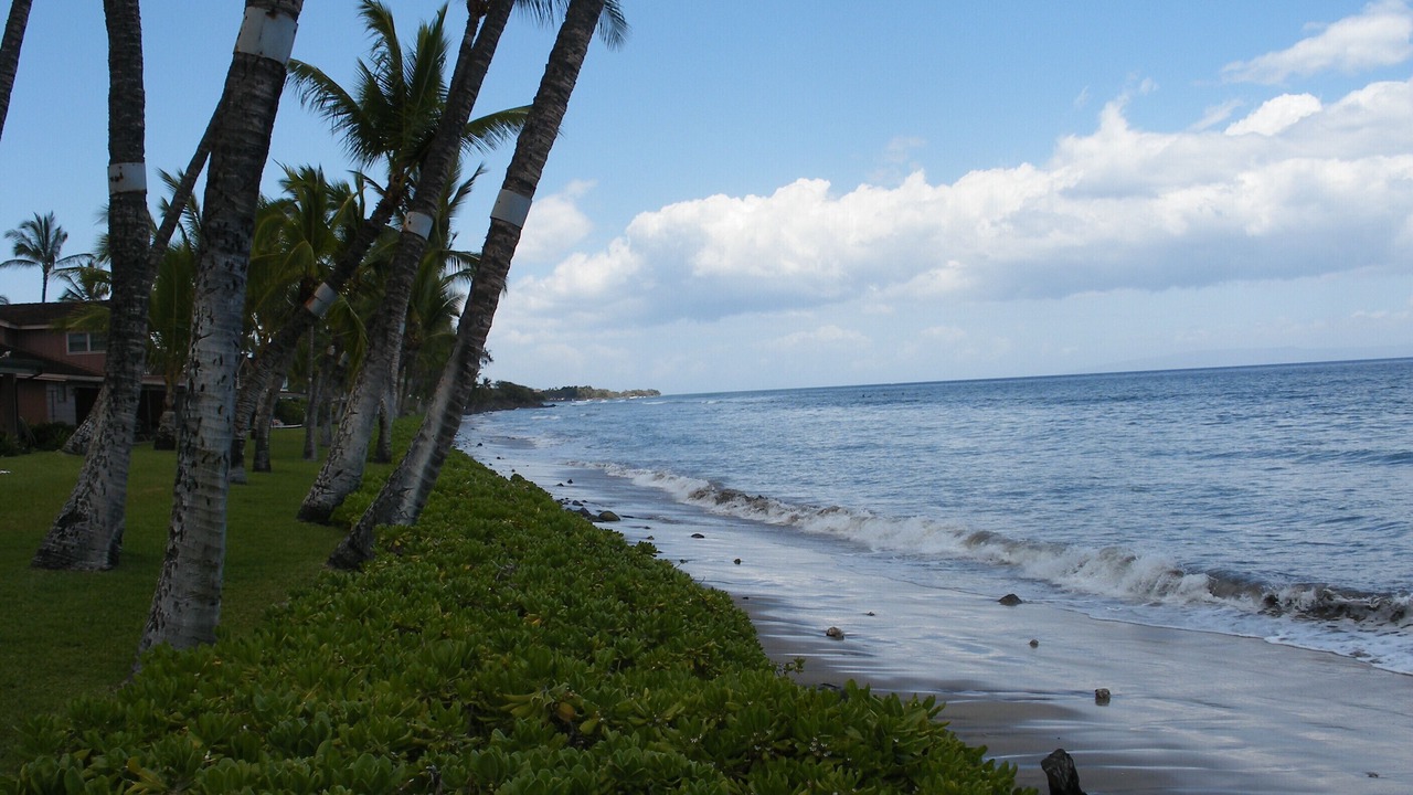 Photo of Others in Downtown Lahaina