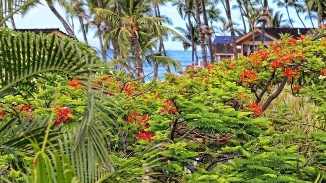 Photo of Others in Downtown Lahaina