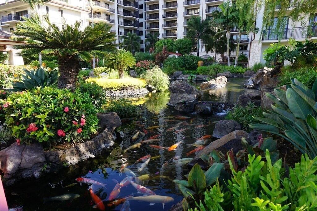 Photo of Others in Ko Olina
