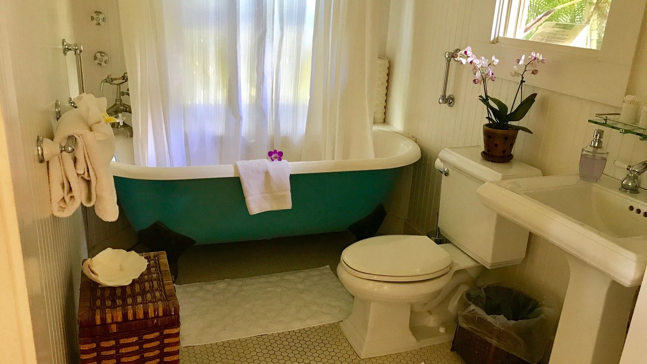 Photo of Bathroom in Hana