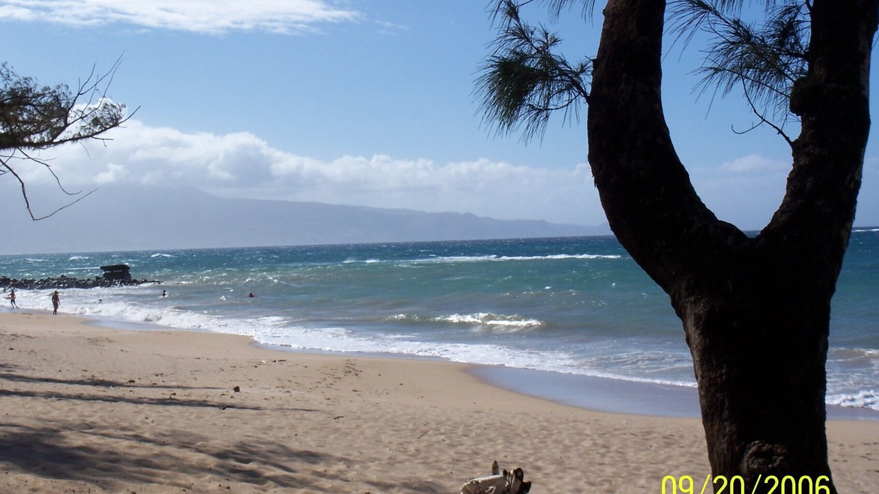 Photo of Others in Paia