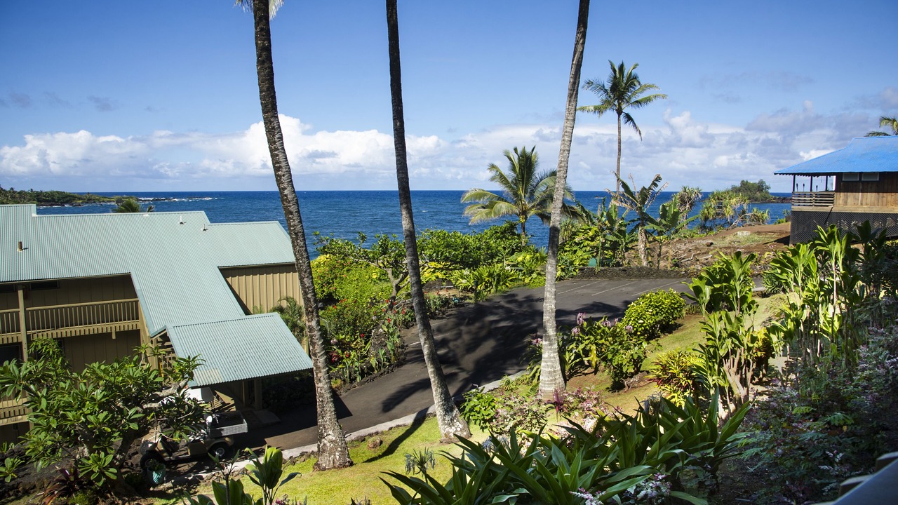Photo of Others in Hana