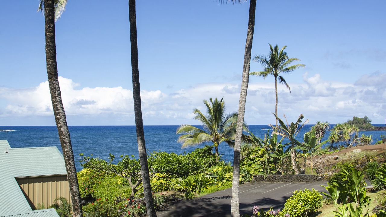 Photo of Outdoor in Hana