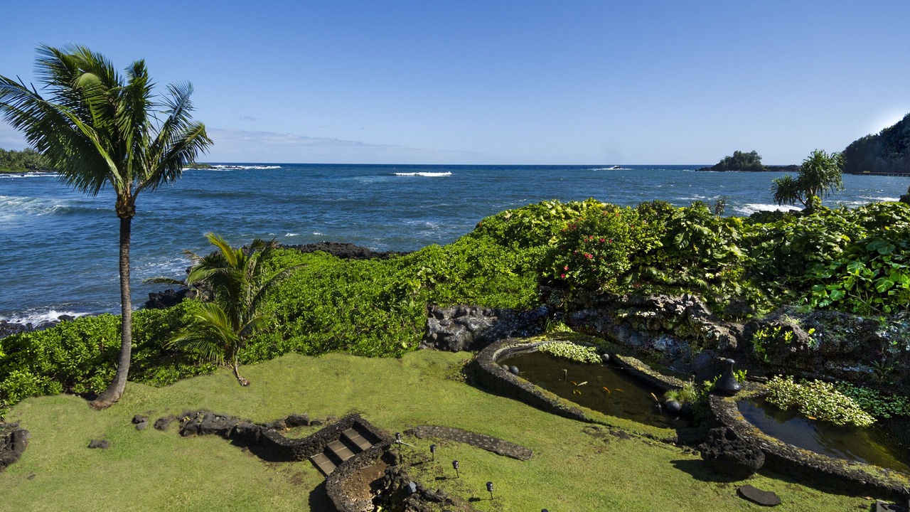 Photo of Outdoor in Hana