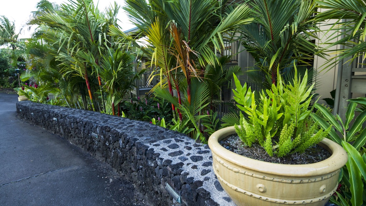 Photo of Outdoor in Hana