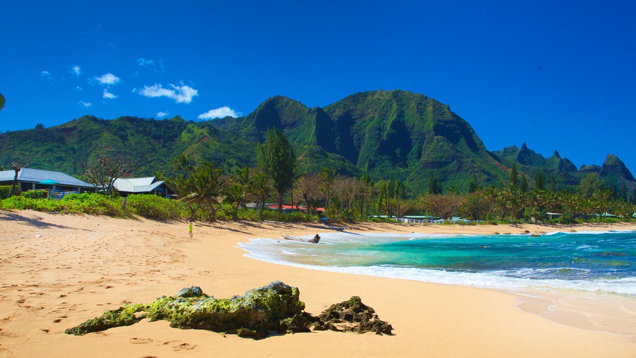 Photo of Others in Wainiha