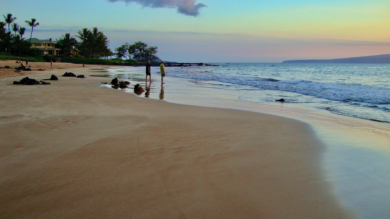 Photo of Others in Wailea