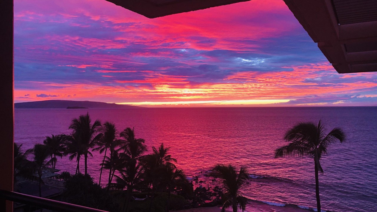 Photo of Others in Wailea