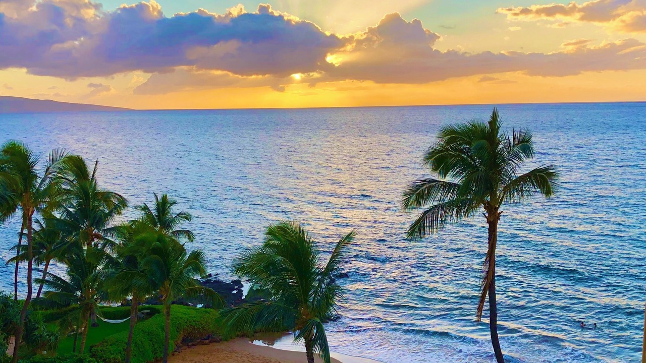 Photo of Others in Wailea