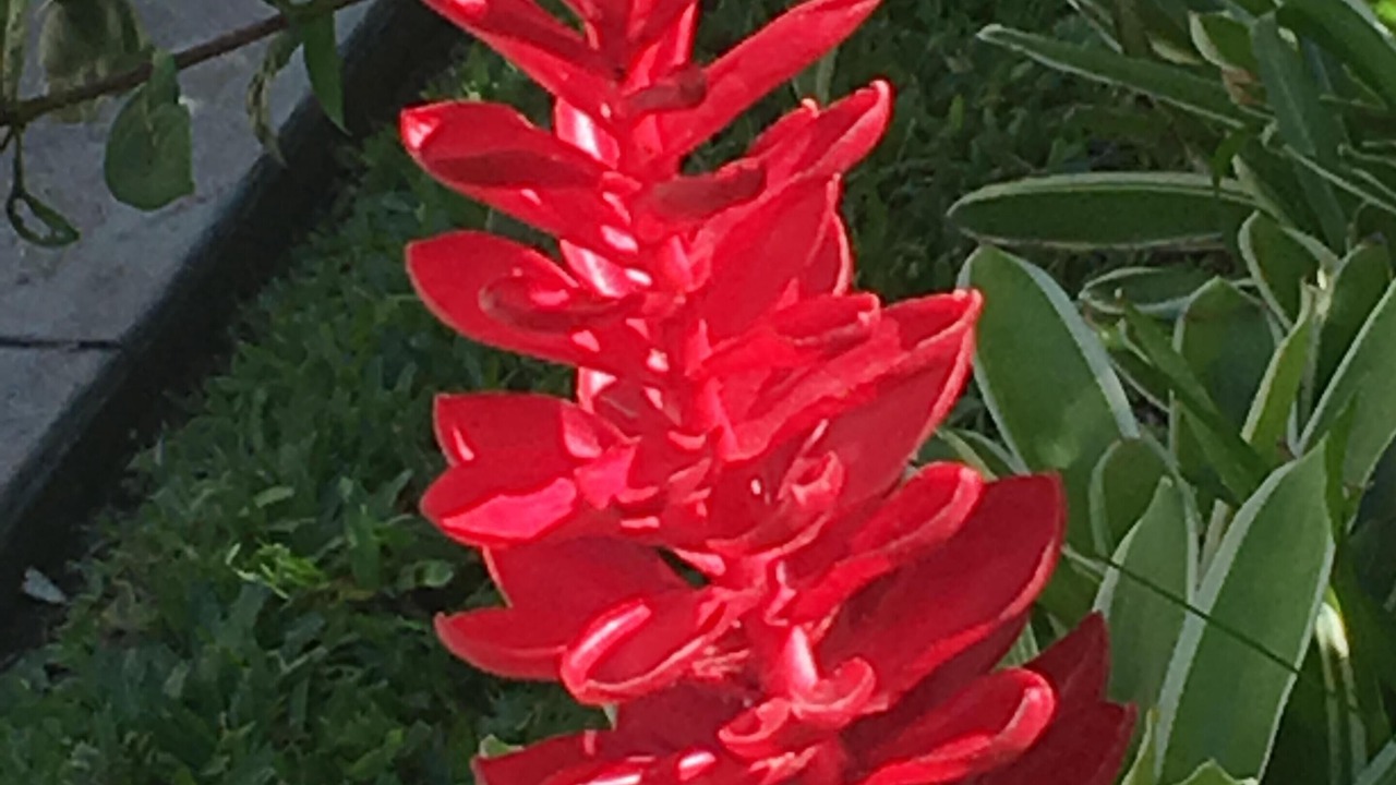 Photo of Others in Kihei
