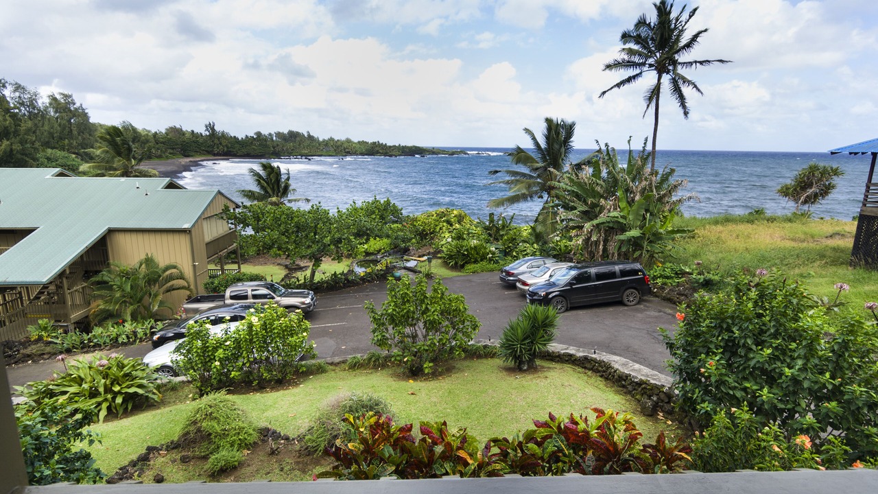 Photo of Others in Hana