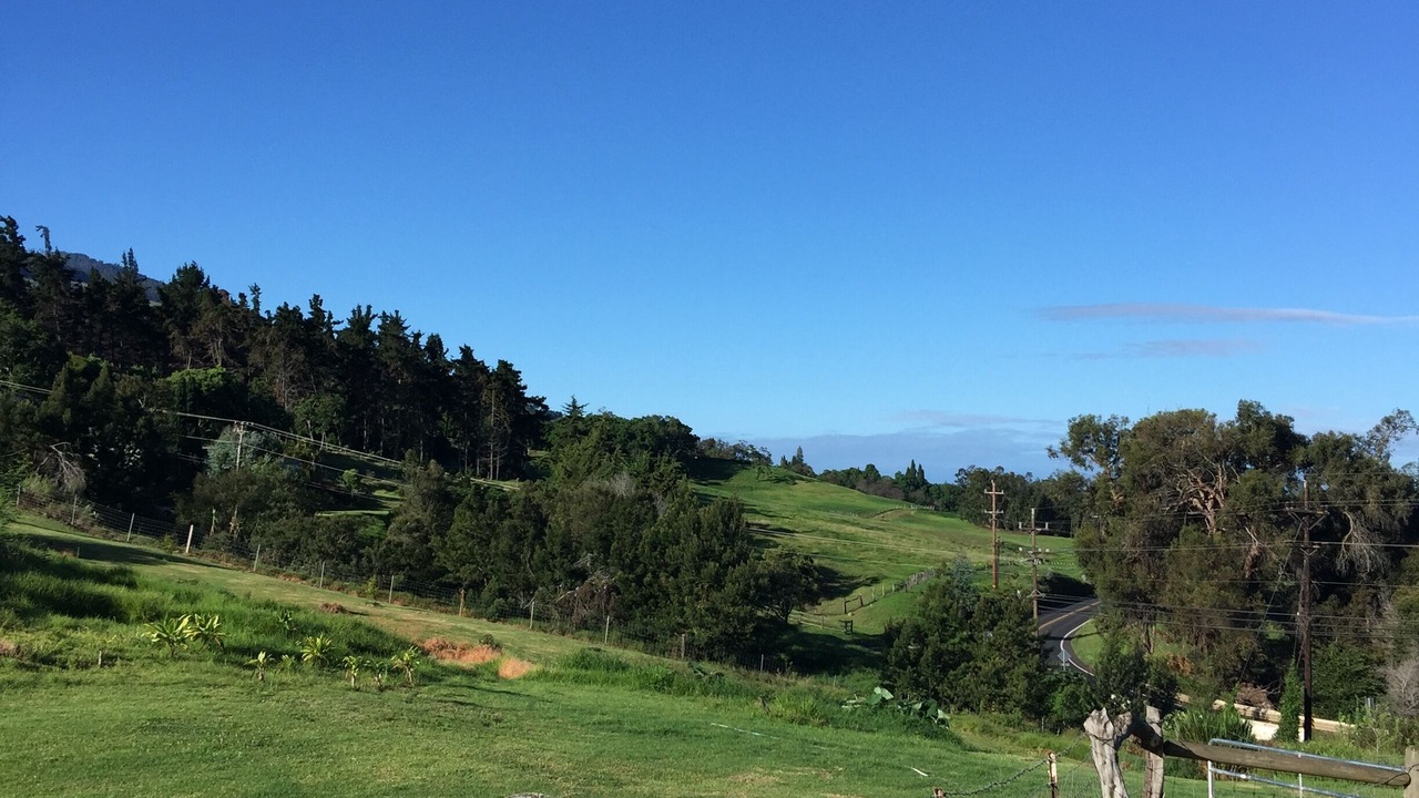 Photo of Outdoor in Kula