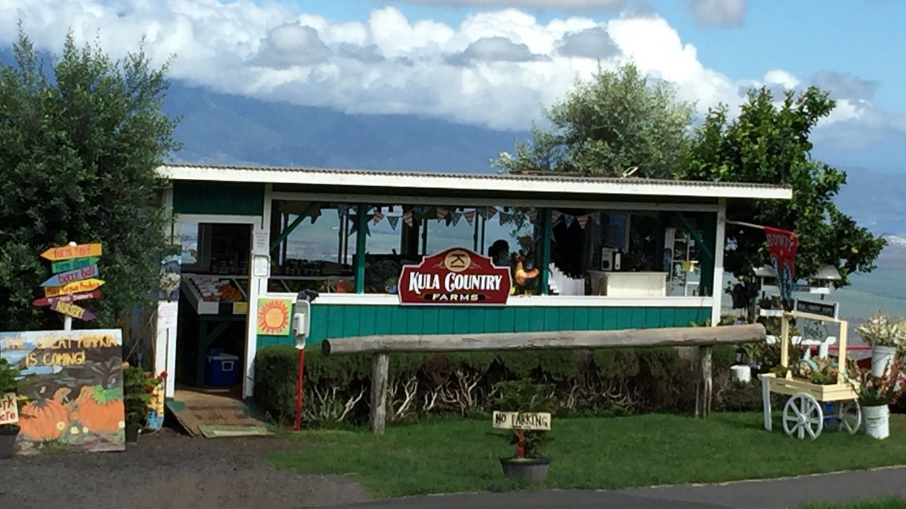 Photo of Others in Kula