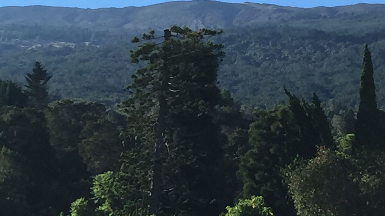 Photo of Others in Kula