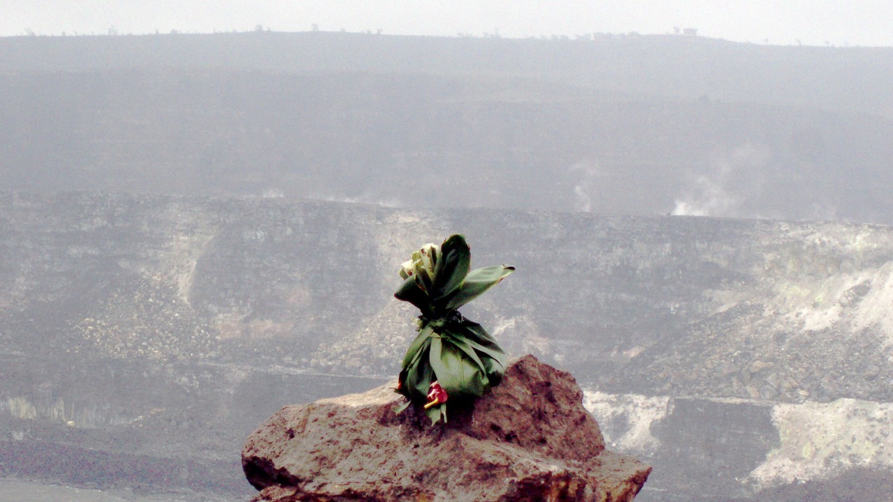 Photo of Others in Waikoloa