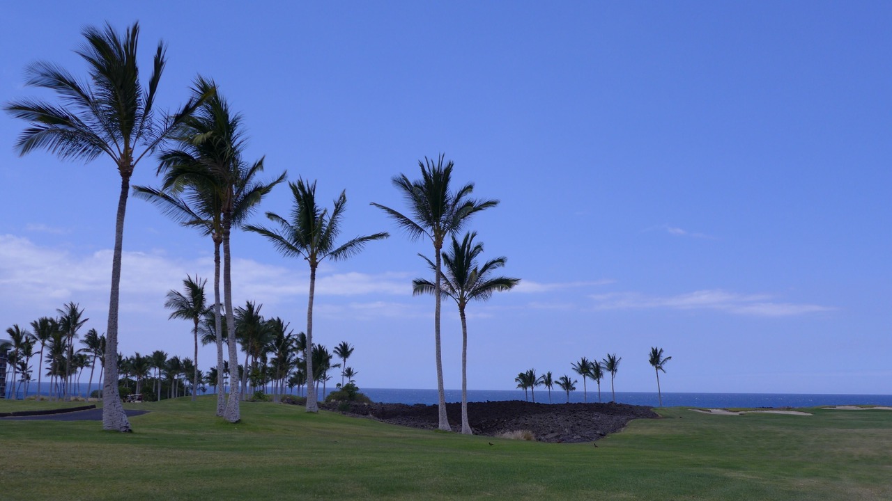 Photo of Others in Waikoloa