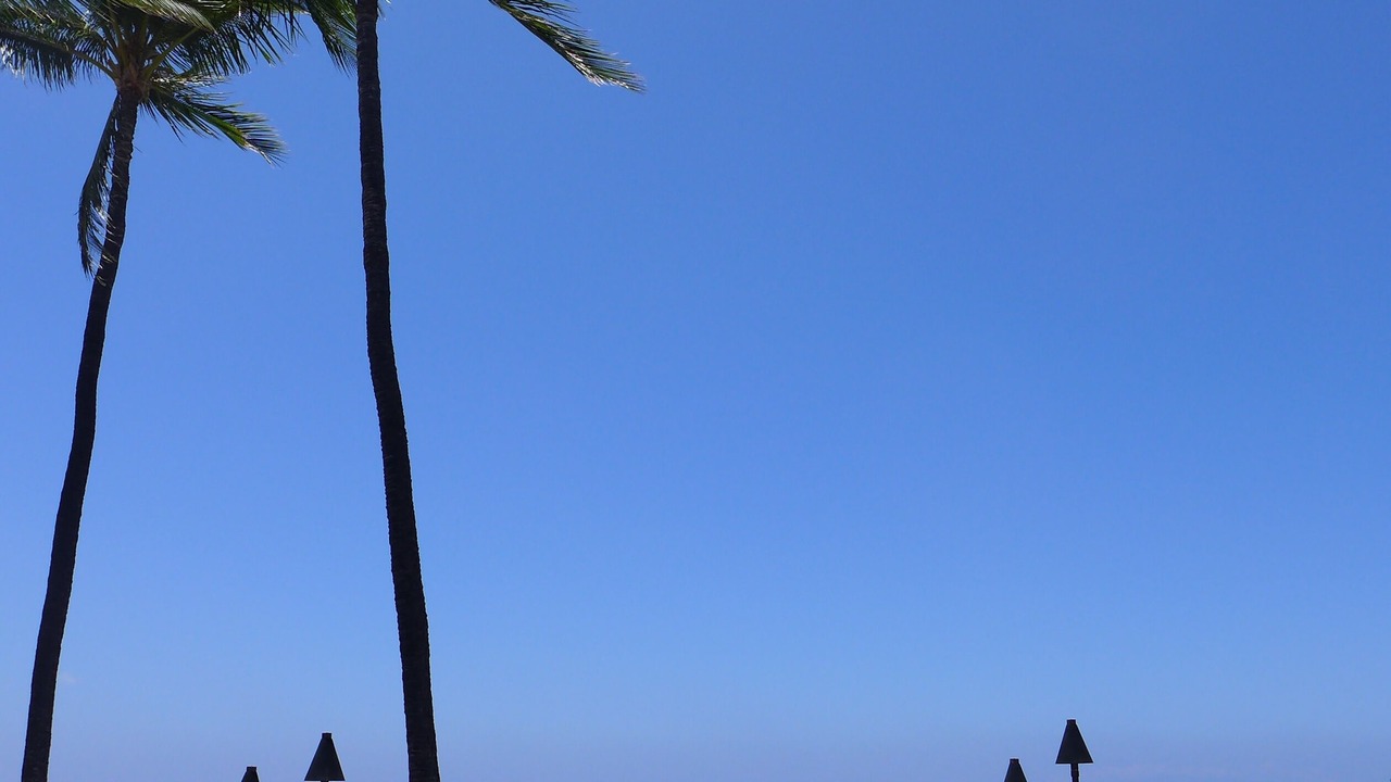 Photo of Others in Waikoloa