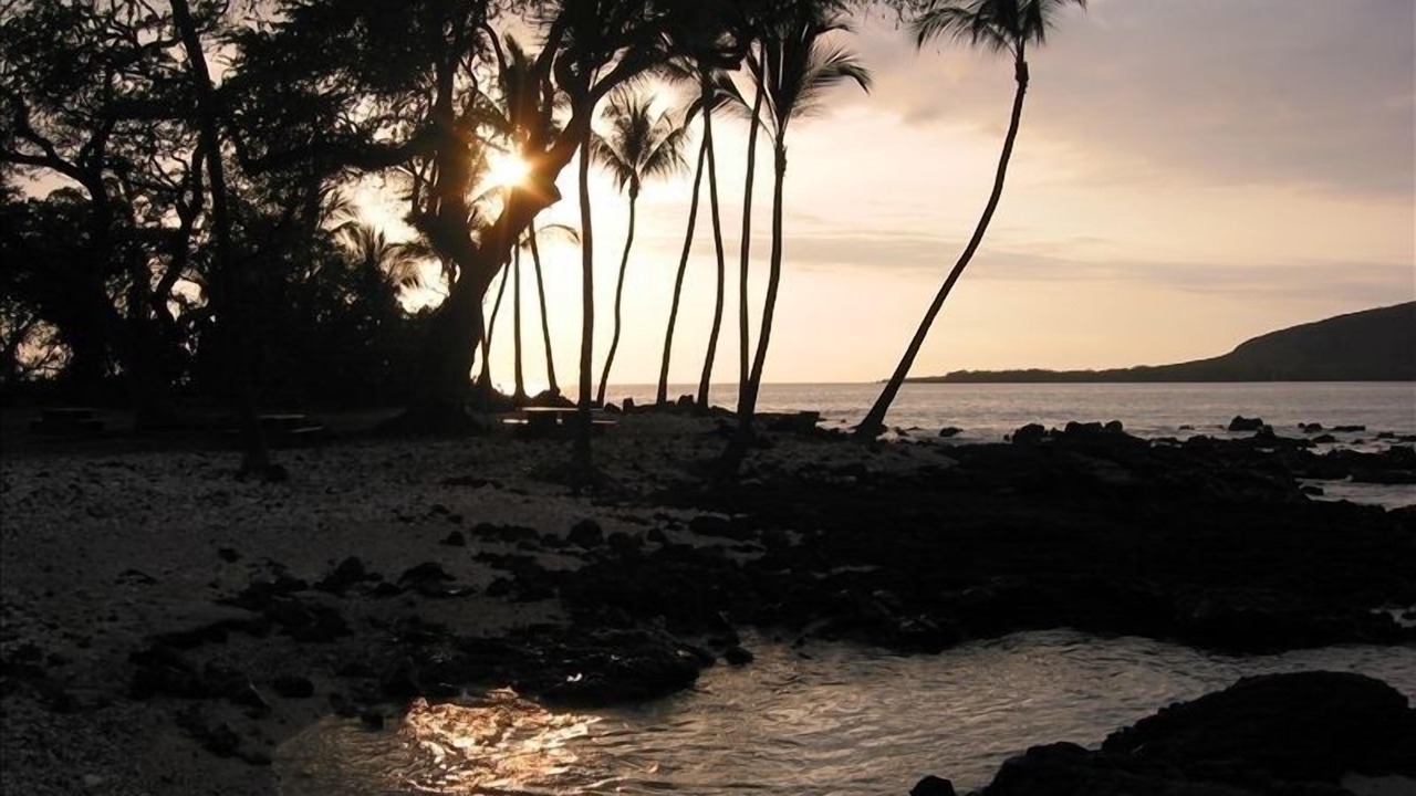 Photo of Others in Honaunau-Napoopoo