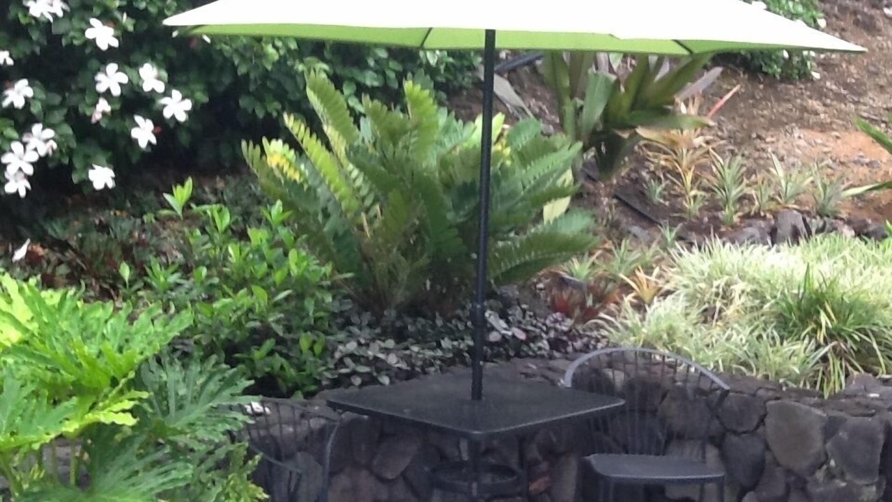 Photo of Outdoor in Honaunau-Napoopoo
