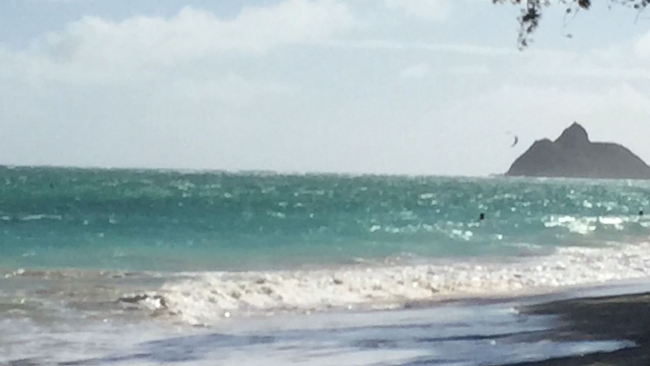Photo of Others in Kailua