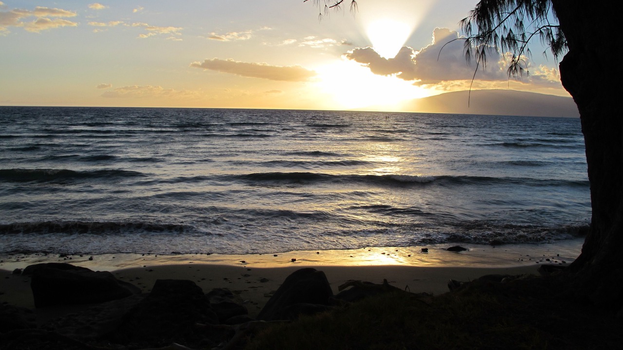 Photo of Others in Historic Kailua Village