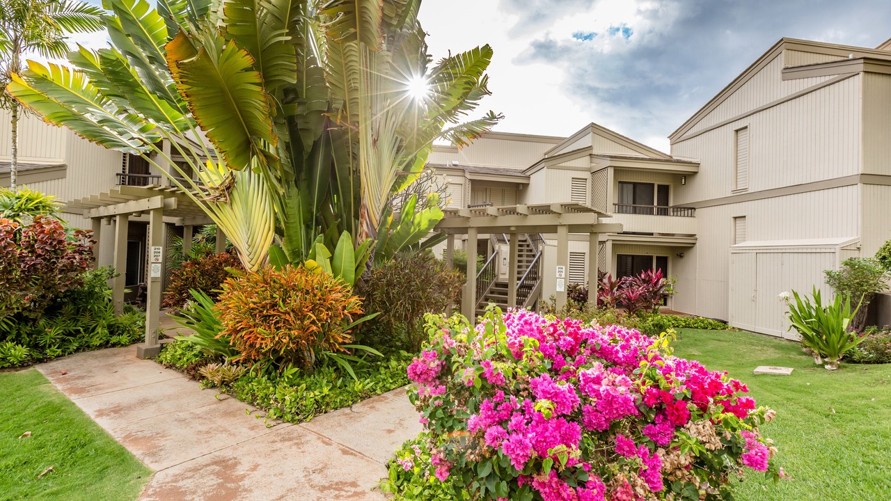 Photo of Outdoor in Wailea