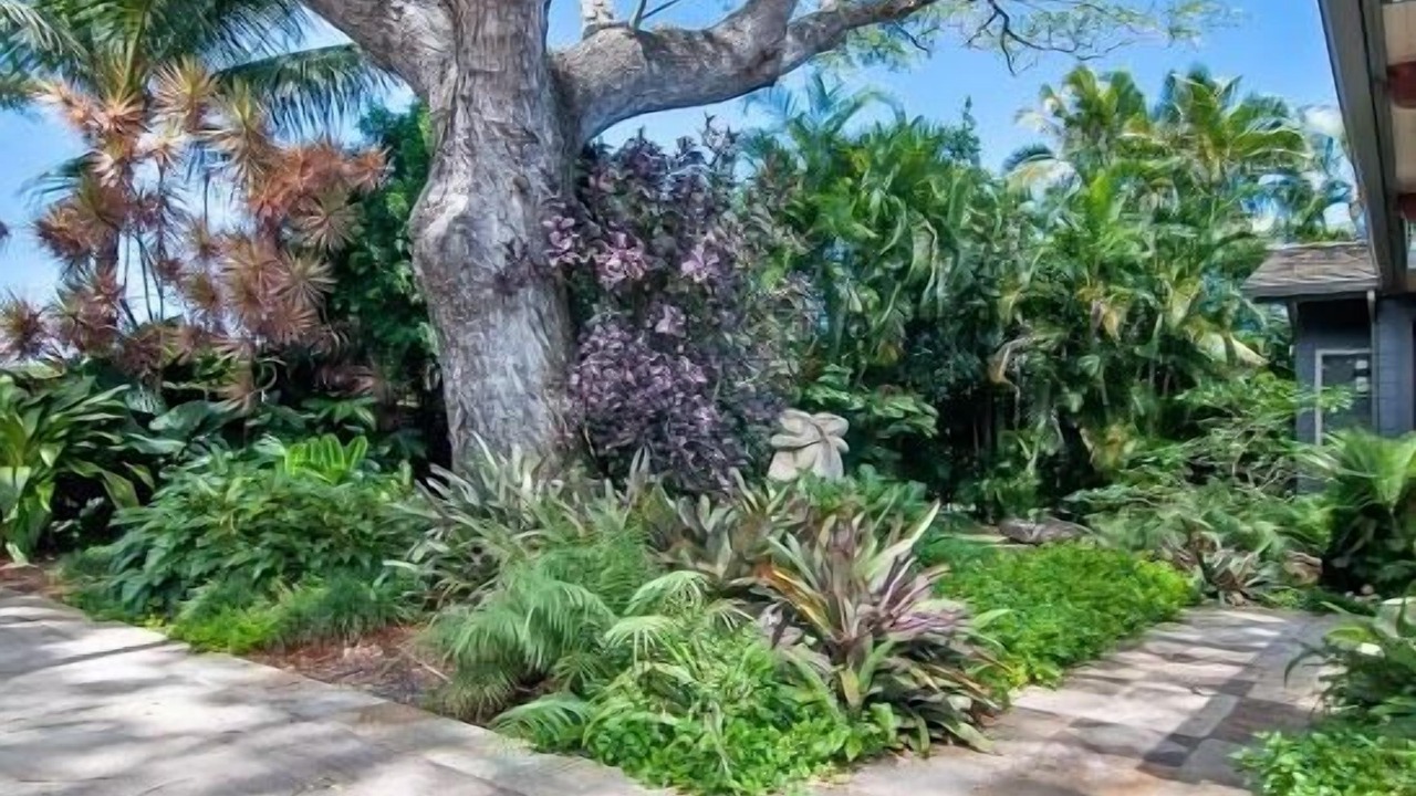 Photo of Outdoor in Kailua