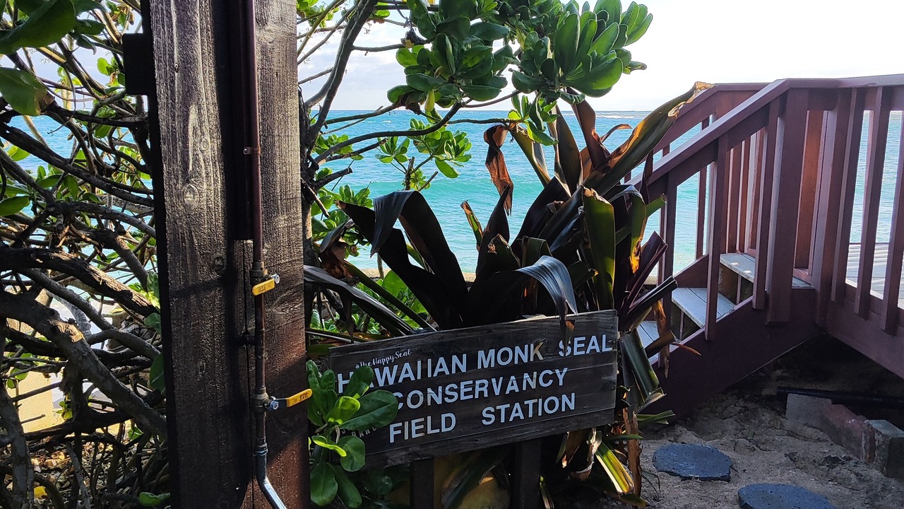 Photo of Outdoor in Hauula
