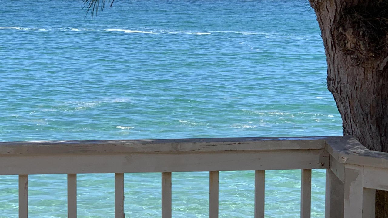 Photo of Others in Hauula