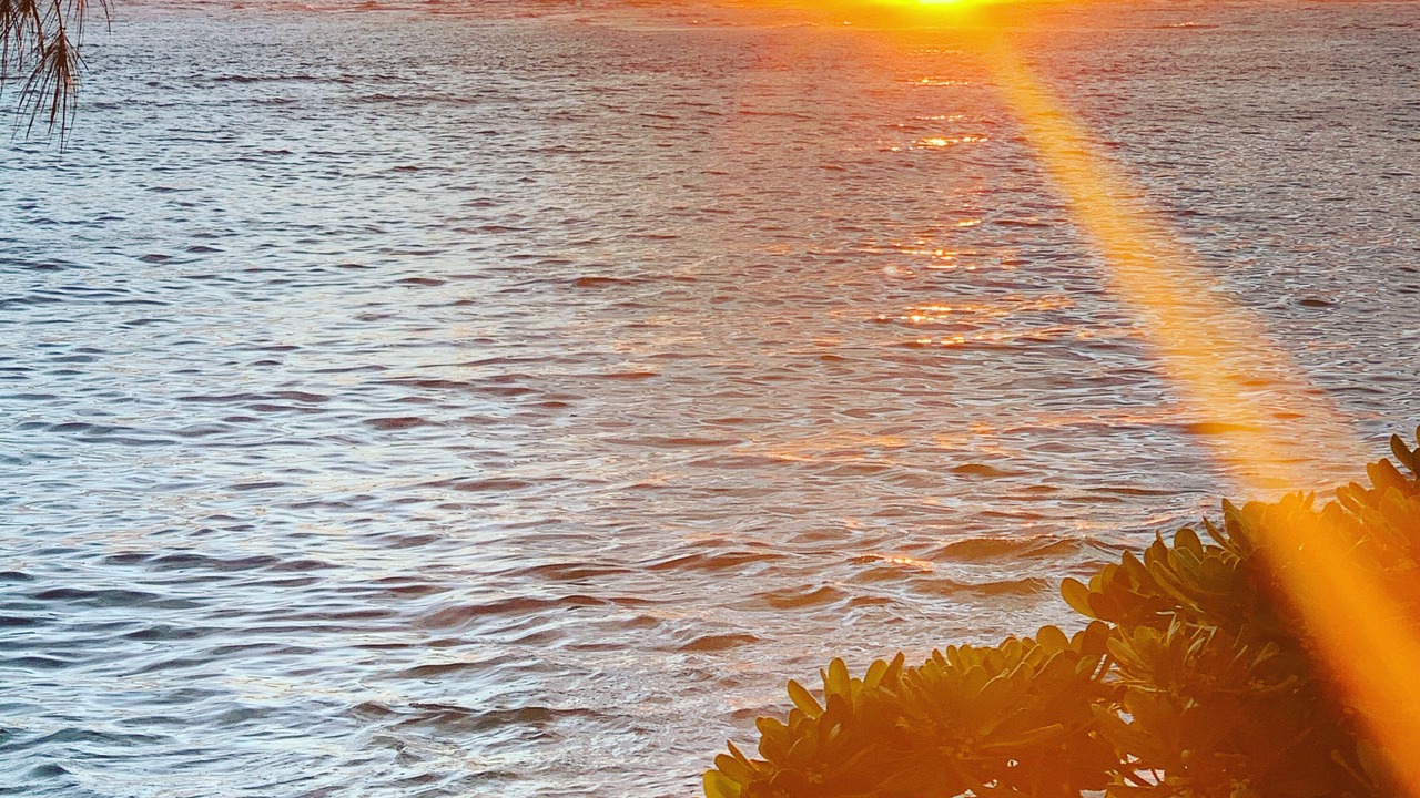 Photo of Others in Hauula