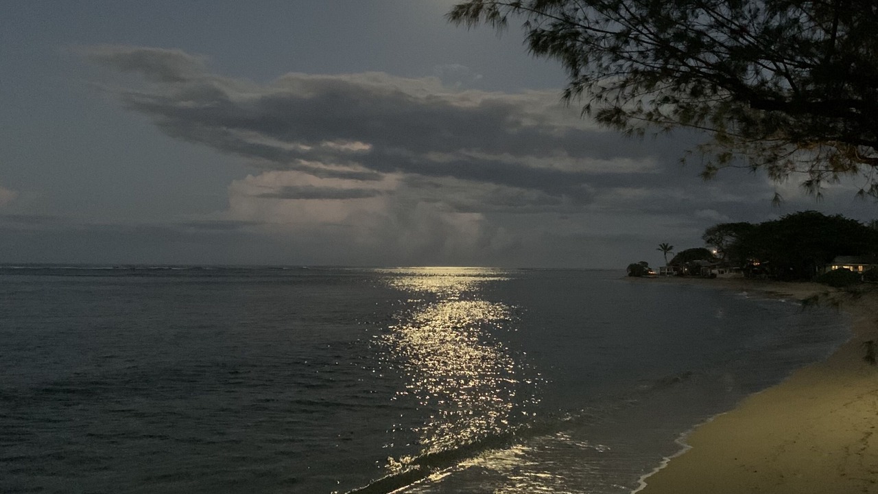 Photo of Others in Hauula