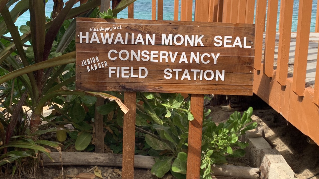 Photo of Others in Hauula