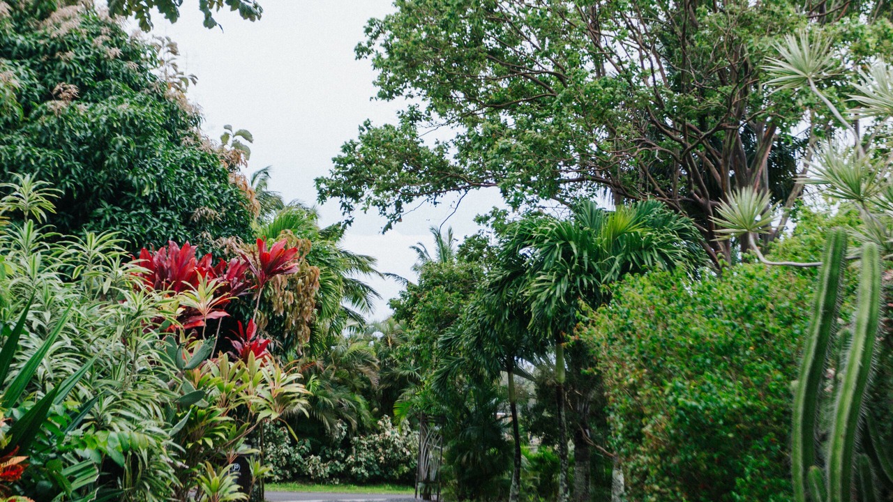 Photo of Outdoor in Hamakuapoko