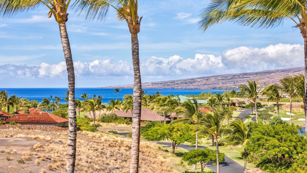 Photo of Outdoor in Kamuela
