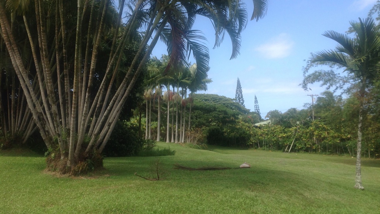 Photo of Others in Hana