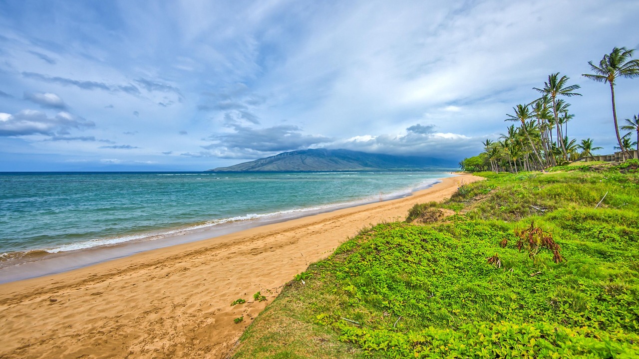 Photo of Others in Kihei