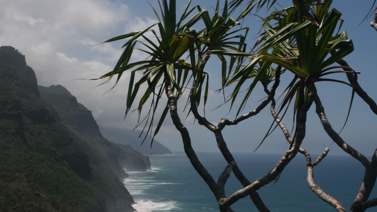 Photo of Outdoor in Princeville