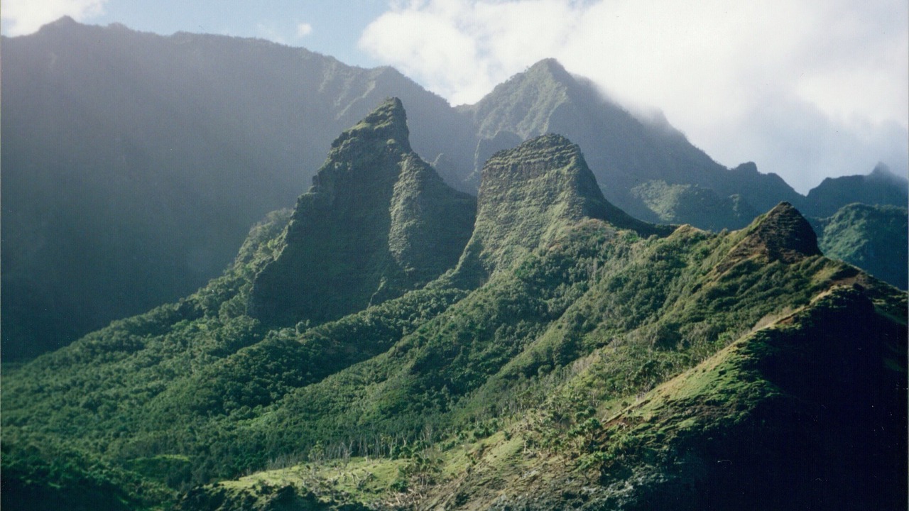 Photo of Others in Princeville