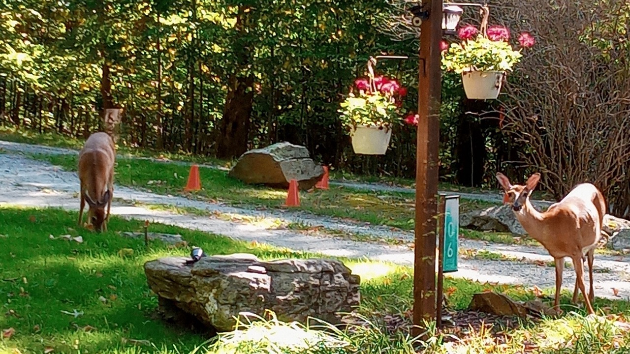 Photo of Outdoor in Seven Devils