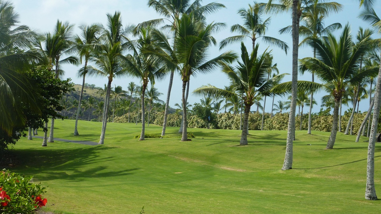 Photo of Others in Keauhou
