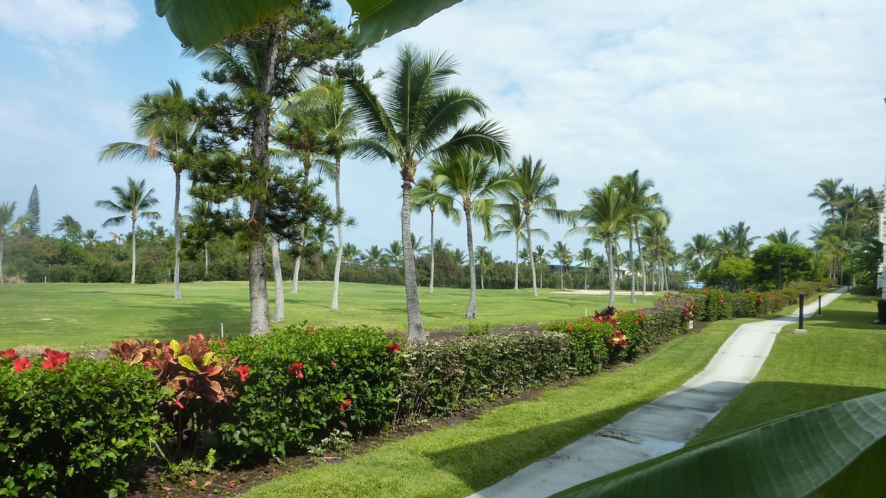 Photo of Outdoor in Keauhou