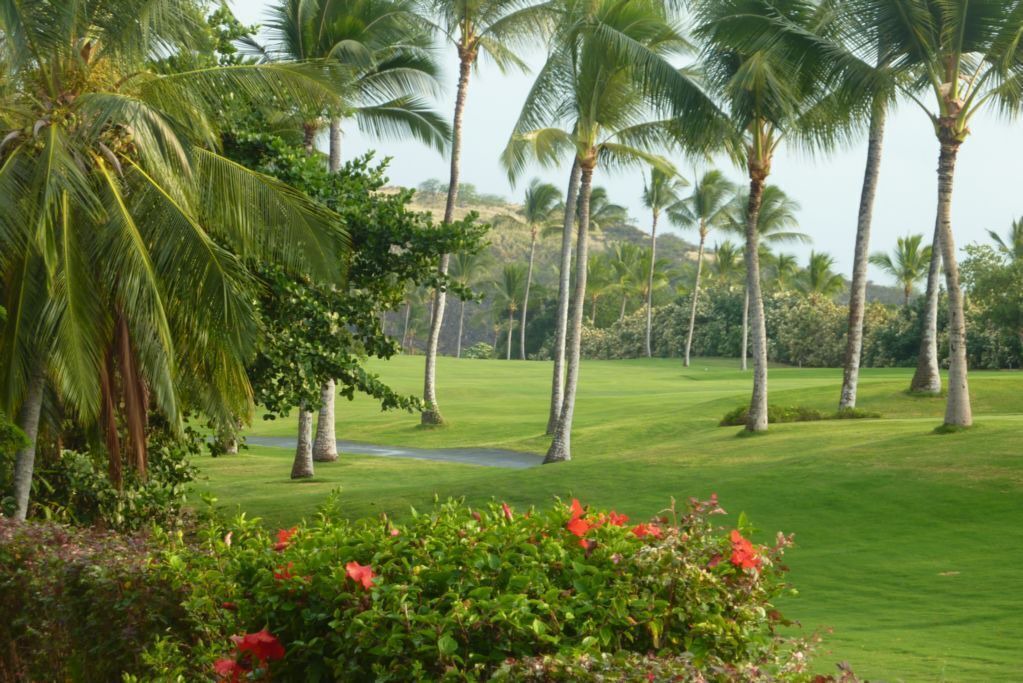Photo of Others in Keauhou