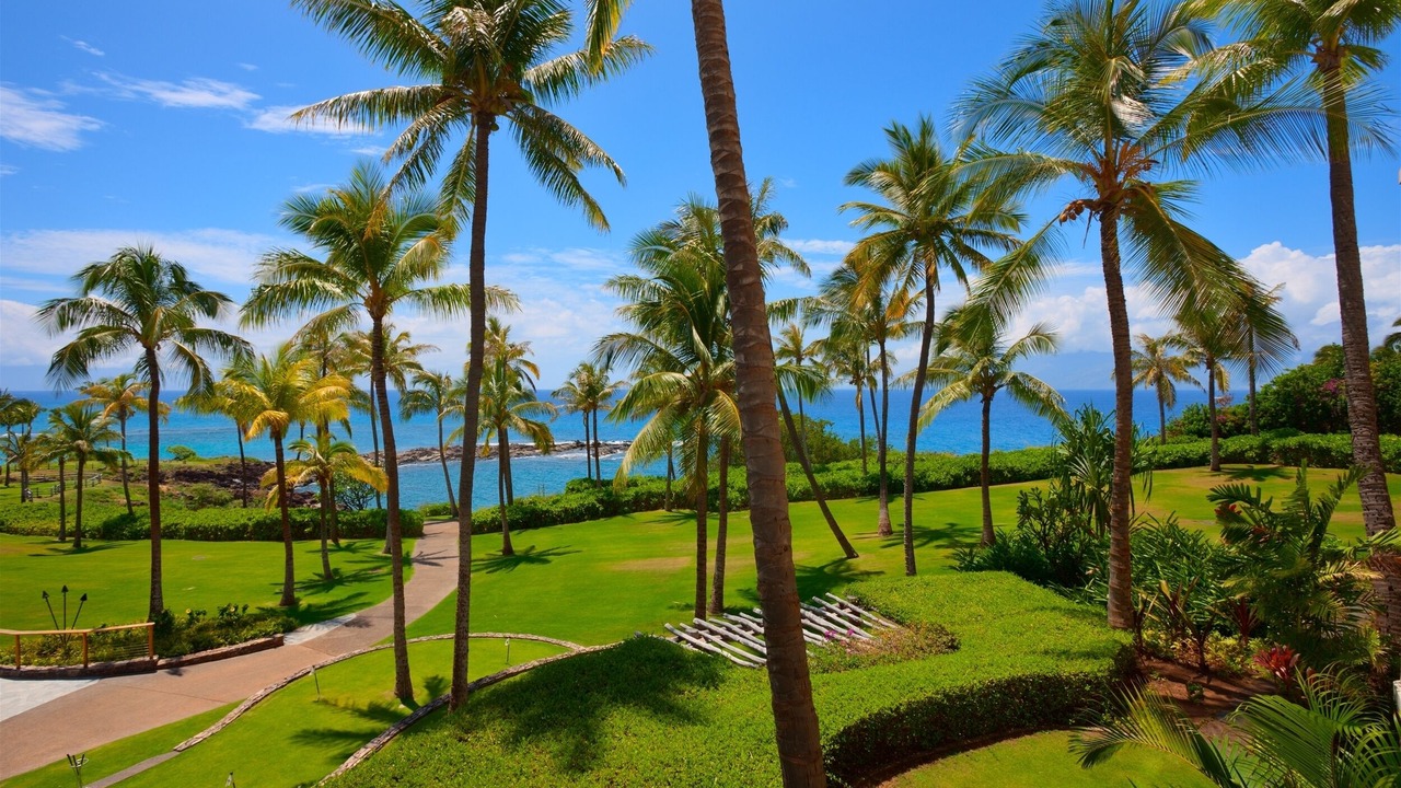 Photo of Others in Montage Kapalua Bay