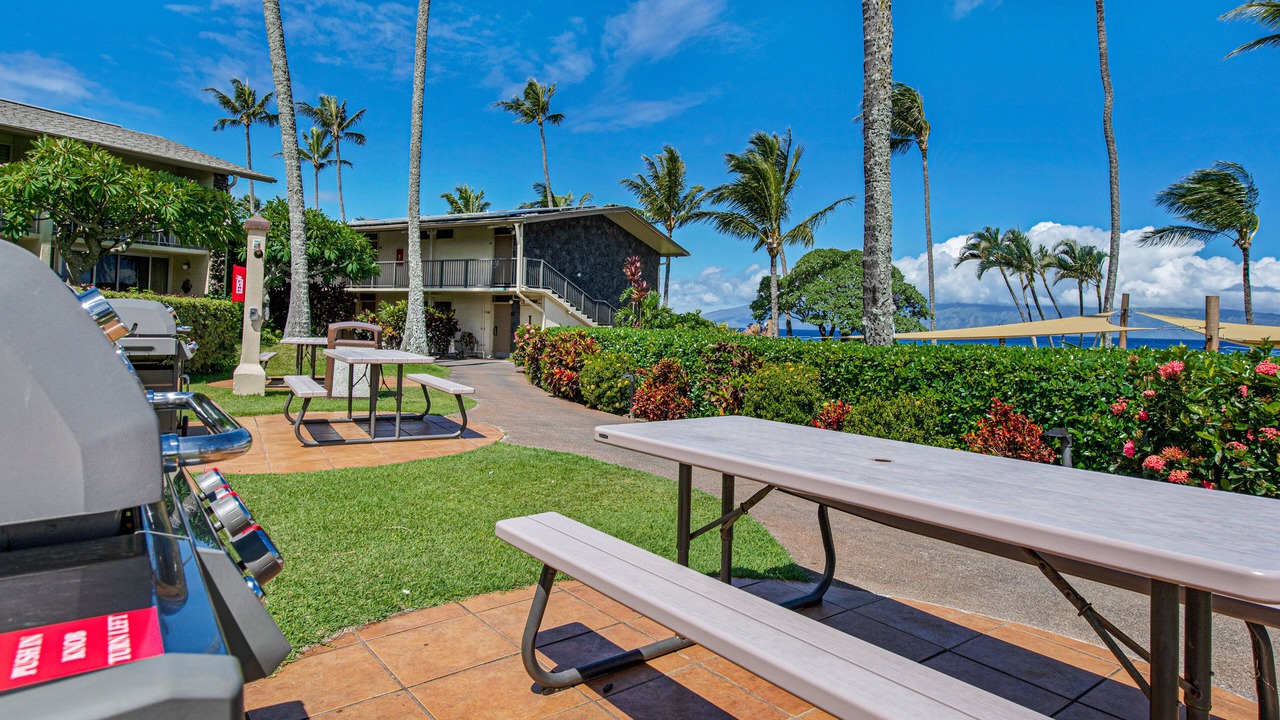 Photo of Outdoor in Napili