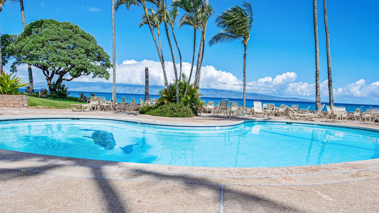Photo of Outdoor in Napili