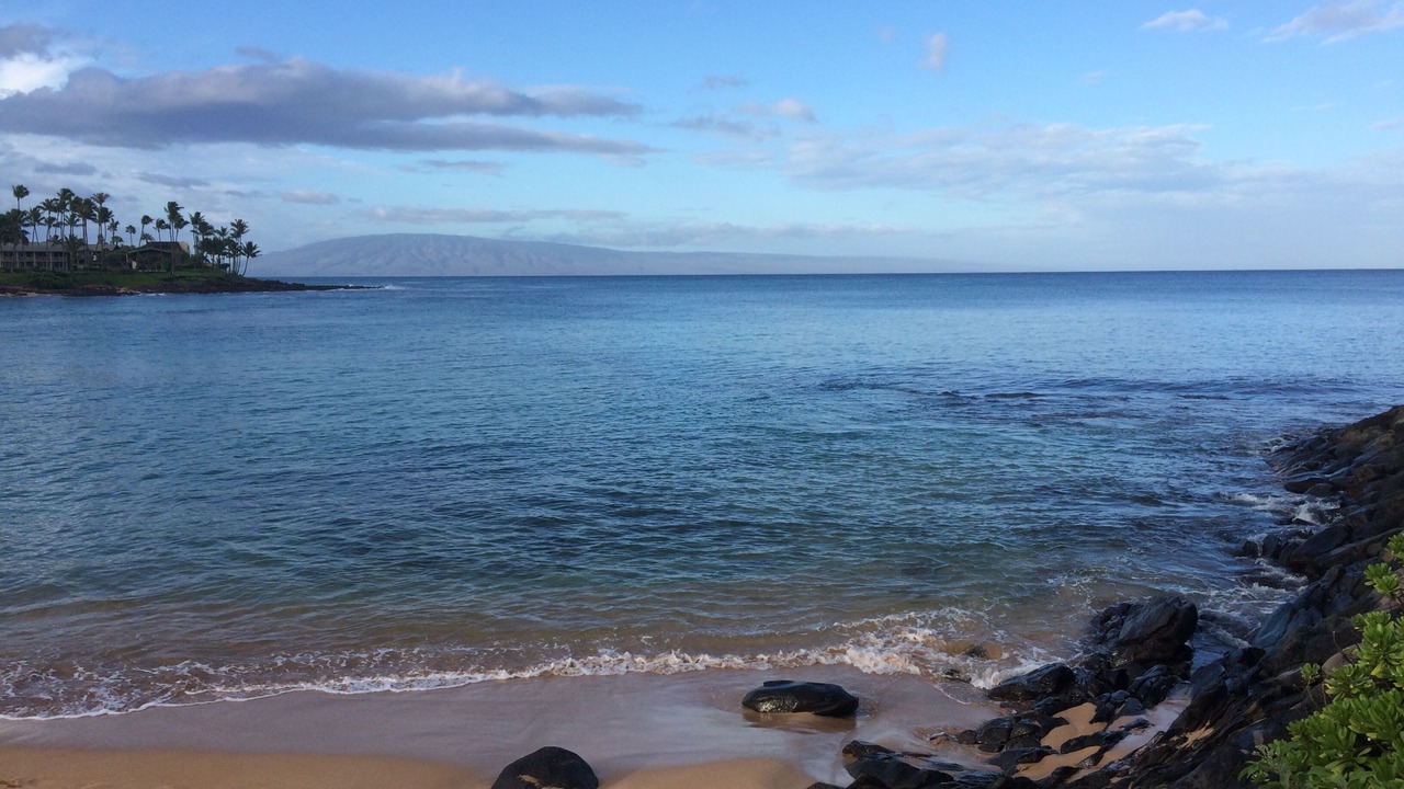 Photo of Others in Napili